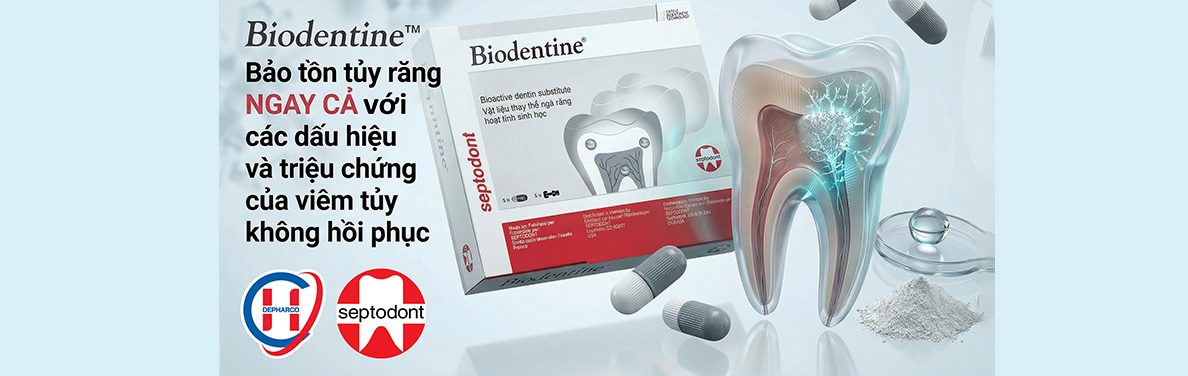 Create For Me 202603240935 Create For Me 202603240935